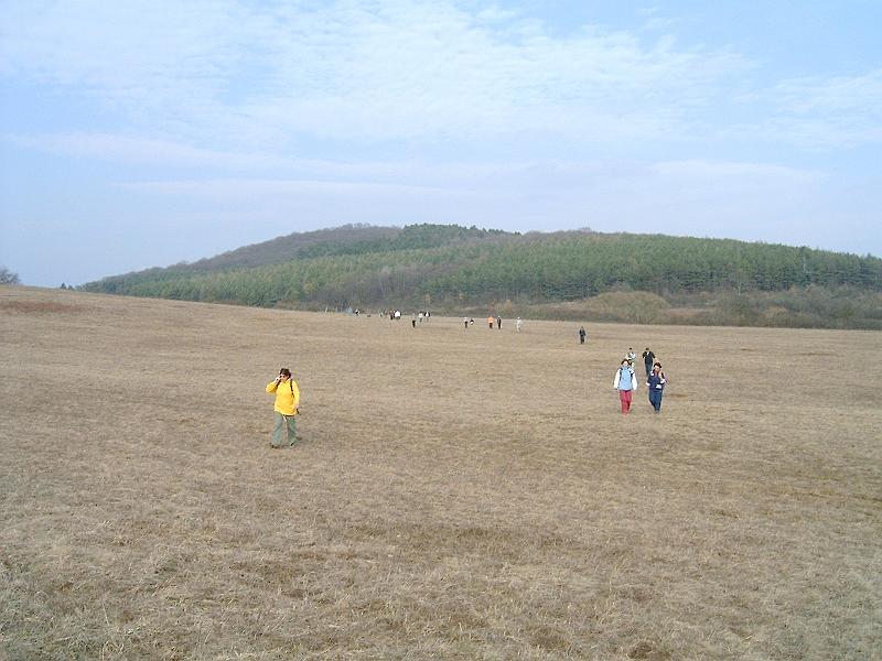 2010.03.20 081.jpg